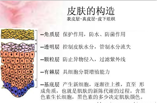 QQ截图20150815093635.png