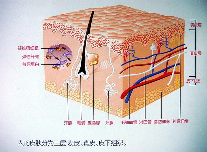 a163e78atcaab7f4eddb5&690.jpg